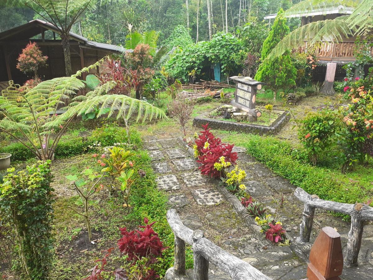 Ijen Miner Family Homestay Banyuwangi  Esterno foto