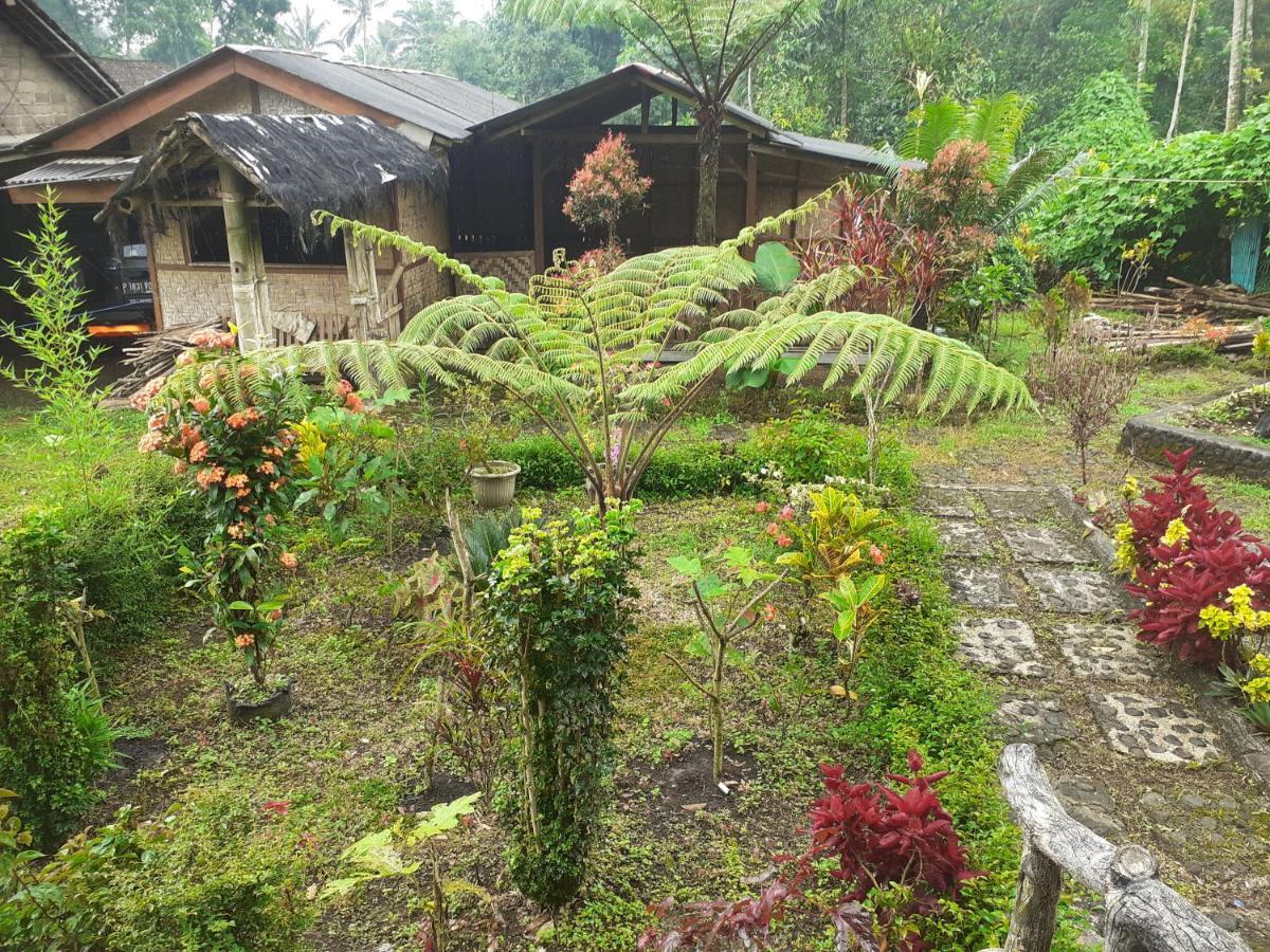 Ijen Miner Family Homestay Banyuwangi  Esterno foto